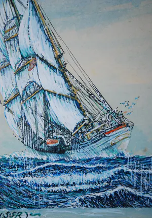 Arne Zuidhoek - Het Russische zeilschip Товарищ op 2 posities - EXTRA gesigneerd boek kopen? Bied vanaf 75!