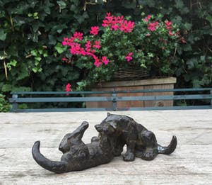 Hetty Heyster - C4830-4D, Spelende welpjes kopen? Bied vanaf 550!