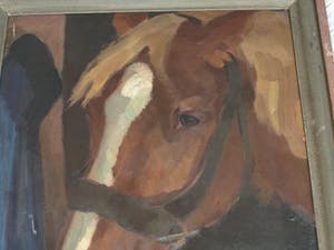 Niet of onleesbaar gesigneerd - Olieverf op doek , “Portret Paard” – gesigneerd & ingelijst kopen? Bied vanaf 10!