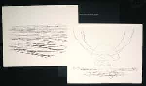 Willem den Ouden - Laureatenmap met twee prenten (litho's), De Waal verkocht voor € 150!