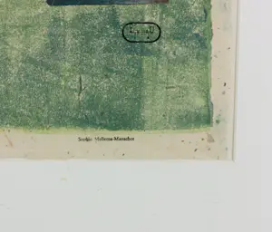 Sophie Mellema - Linosnede op Japans papier, Z.T. - Ingelijst kaufen? Bieten Sie von 70!