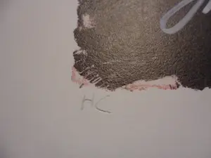 Peter Diem - Zeefdruk. Porsche 3 kopen? Bied vanaf 35!