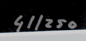 Herman Brood - Ingelijste zeefdruk: de basgitarist kopen? Bied vanaf 399!
