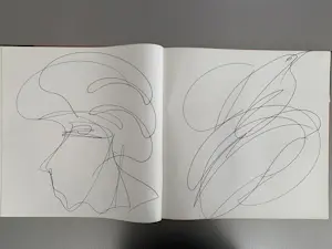 Jeanine Behaeghel - schetsboek met meer dan 160 tekeningen kaufen? Bieten Sie von 300!