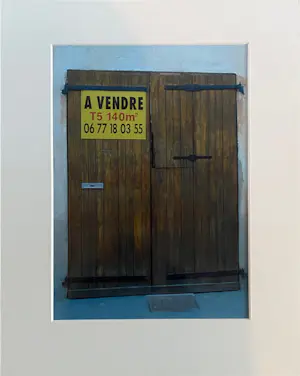 Diederik van Leeuwen - A Vendre kopen? Bied vanaf 35!