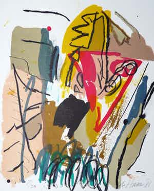 Jurjen de Haan - 5x gesigneerde kleurenlithos in een map verkocht voor € 80!