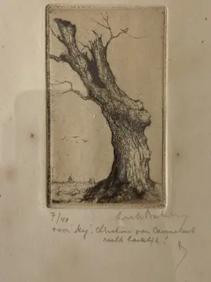 Dirk Baksteen - Rode Wilg kopen? Bied vanaf 40!