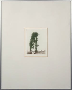 Rob Heijman - Kleurenets, De Boom - Ingelijst kopen? Bied vanaf 10!