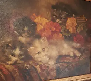 Johannes Wouterus van Trirum - poezen kopen? Bied vanaf 495!