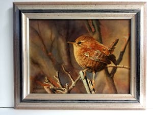 Hans Habraken - Winterkoninkje (in het Westland: Klein Jantje genoemd) kopen? Bied vanaf 450!