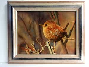 Hans Habraken - Winterkoninkje (in het Westland: Klein Jantje genoemd) verkocht voor € 450!