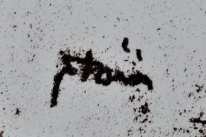 Wim Motz - 2x de gehangene - in 1e en 2e definitieve/ gesigneerde drukgang kopen? Bied vanaf 49!