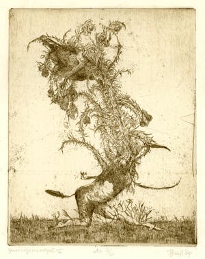 Hans Kuyt - Gevangen vogel - sepia - oplage 8/10 kopen? Bied vanaf 75!