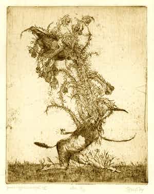 Hans Kuyt - Gevangen vogel - sepia - oplage 8/10 verkocht voor € 75!