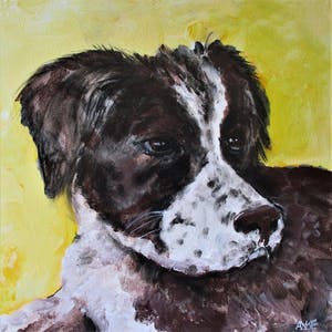 Anke Peddemors - saar de hond kopen? Bied vanaf 25!