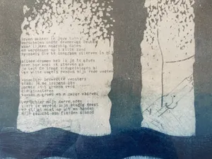 Paul Elshout - Van zaad tot kosmos kopen? Bied vanaf 25!