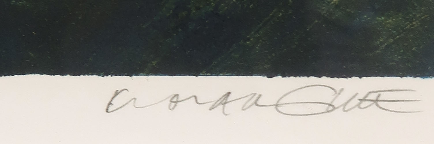 Elmar Gille - Kleurenets, Zonder titel - Ingelijst kopen? Bied vanaf 35!