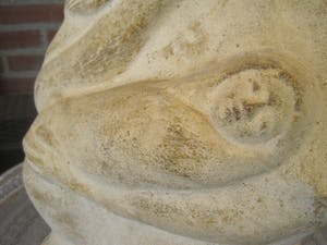 Heiligenbeeld - Madre Maria con nino. kopen? Bied vanaf 60!