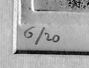 Wout van Heusden - Dier (zo simpel) kopen? Bied vanaf 60!