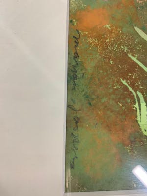 Marjan Jaspers - Bloemen geel en rood kopen? Bied vanaf 20!