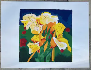 Henk van der Plas - Mooie , kleurrijke gesigneerde zeefdruk - 2001 - 40/50 kopen? Bied vanaf 65!