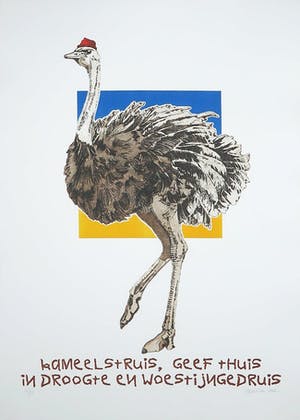 Els Maasson - Ets, Kameelstruis kopen? Bied vanaf 1!