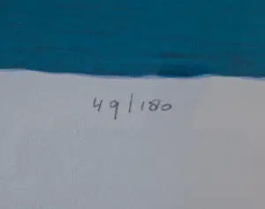 Ton Schulten - Dorpskern kopen? Bied vanaf 295!