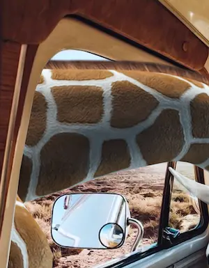 Mr. Strange - L' Aventurière kopen? Bied vanaf 40!