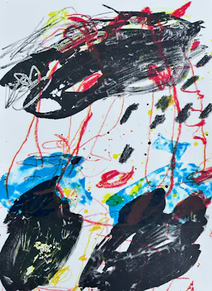 Kees Salentijn - Lot van 4 zeefdrukken kopen? Bied vanaf 35!