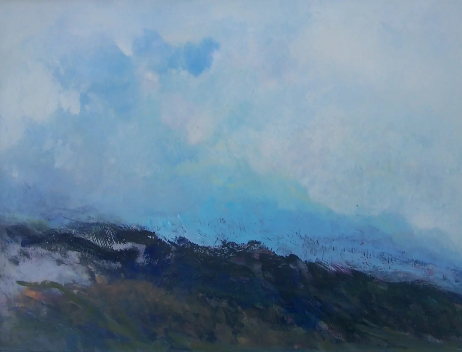 Dick van 't Wout (1934)