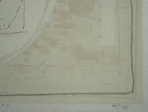 Co Westerik - handgesigneerde kleurenlitho | 'Zelfportret met poes' | 1989 kopen? Bied vanaf 200!