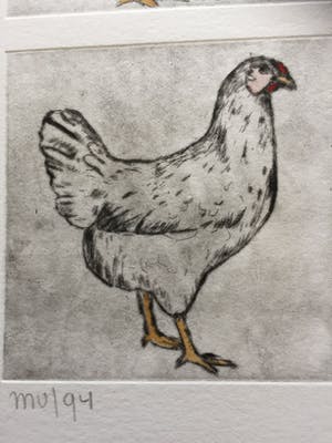 Martien Versteegen - Kippen kopen? Bied vanaf 35!