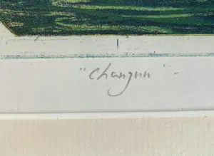 Rolf Weijburg - Kleurenets - “Changuu” - Ingelijst kopen? Bied vanaf 100!