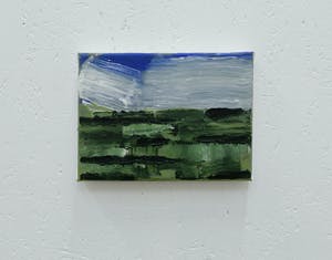 Paul Corvers - Polder kopen? Bied vanaf 75!