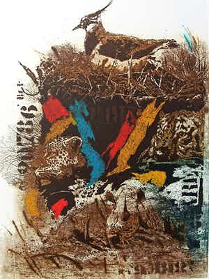 Simon Koene - Kievit verkocht voor € 30!