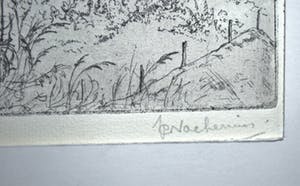 Jan Coenraad Nachenius - ets - Gezicht op de Rijn vanaf de Wageningse berg kopen? Bied vanaf 40!