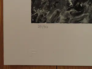 Armando - Landschaft kopen? Bied vanaf 60!