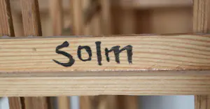 Eric van Solm - Houten sculptuur - 2017 kopen? Bied vanaf 395!