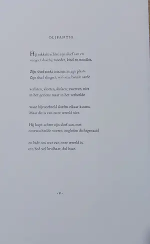Reinhoud D'Haese - ets + map, CoBrA , gesigneerd door kunstenaar en Hugo Claus kopen? Bied vanaf 140!