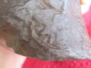 Bernadette Leijdekkers - Kronkel kopen? Bied vanaf 120!