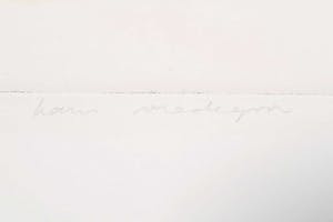 Hans Vredegoor - Ets en aquatint, Z.T. Vogel kopen? Bied vanaf 1!