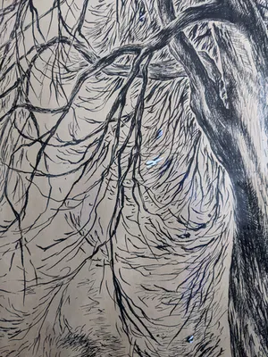 Corina Agatha Smit - 2 Bomen kopen? Bied vanaf 75!