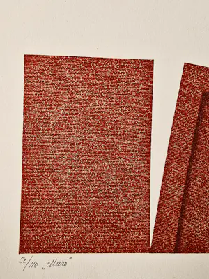 Erik Roos - Galerie Asselijn Amsterdam - kleuren litho "Muro Alligesi Firenze" bep. oplage kopen? Bied vanaf 45!