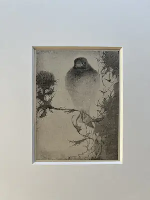 Jan Mankes - Originele Heliogravure - Puttertje op Tak 1923 kopen? Bied vanaf 175!