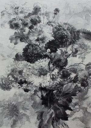 Aart van Dobbenburgh - Litho: bloemen - 1969 kopen? Bied vanaf 50!