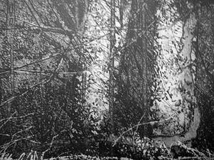 Bert Keller - Bosgezicht -ets mezzotint 1989- kopen? Bied vanaf 15!