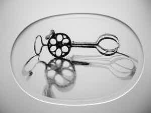 Gerard van Rooy - Molentje verkocht voor € 50!