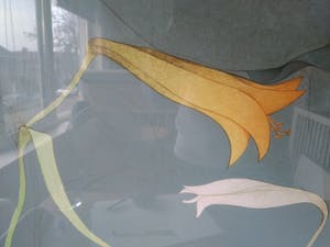 Bruno Bruni - Sola (Litho) kopen? Bied vanaf 60!