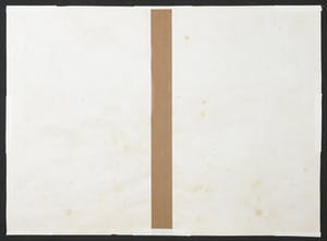 Curiosa - Lot van 6 handgekleurde gravures met dierenvoorstellingen uit oude atlas kopen? Bied vanaf 1!