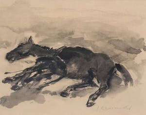 Jan Groenestein - C4575-5 - Dood paard kopen? Bied vanaf 175!